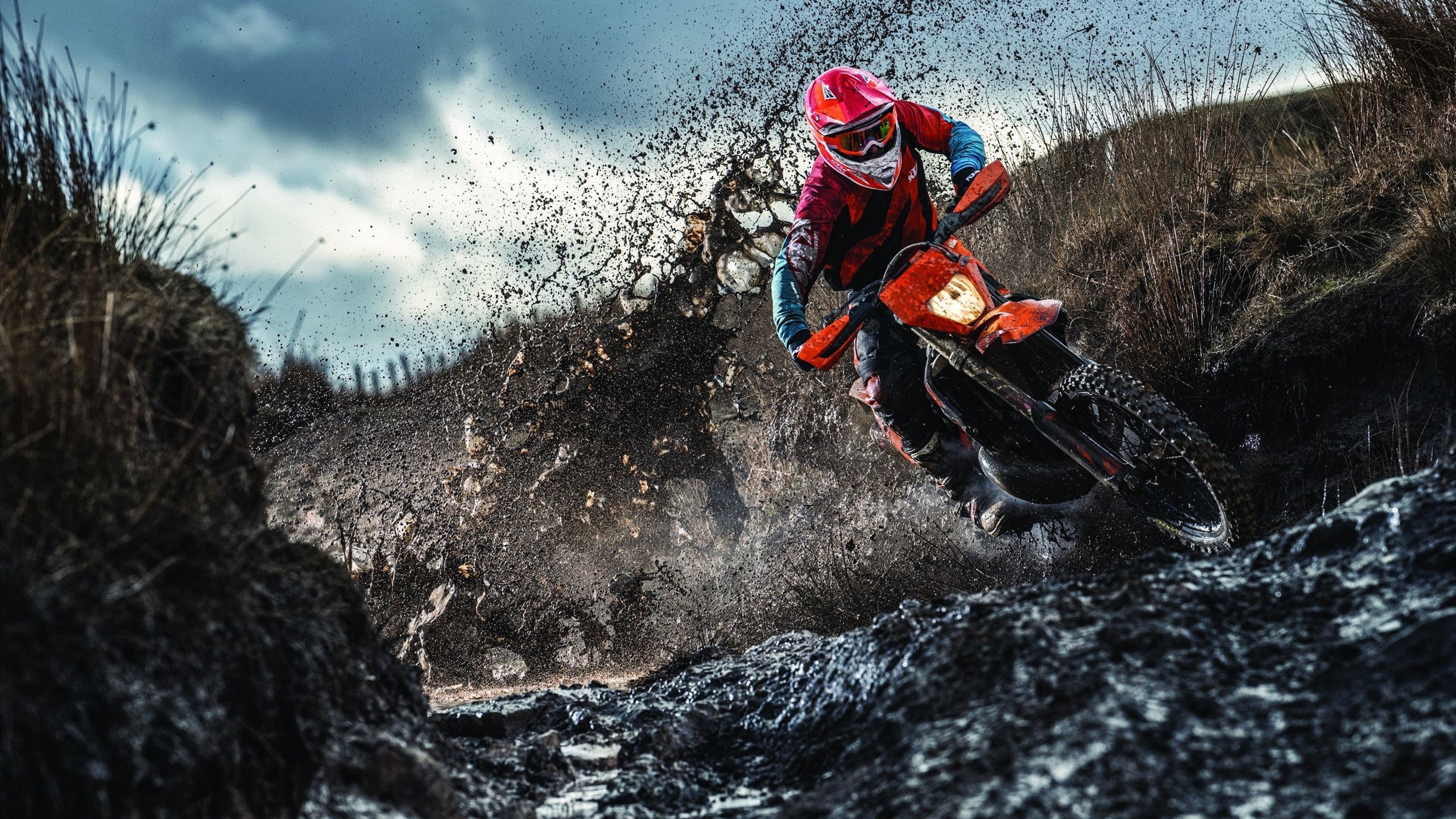 五大联赛转会窗口:谁是最大赢家?,五大联赛转会汇总