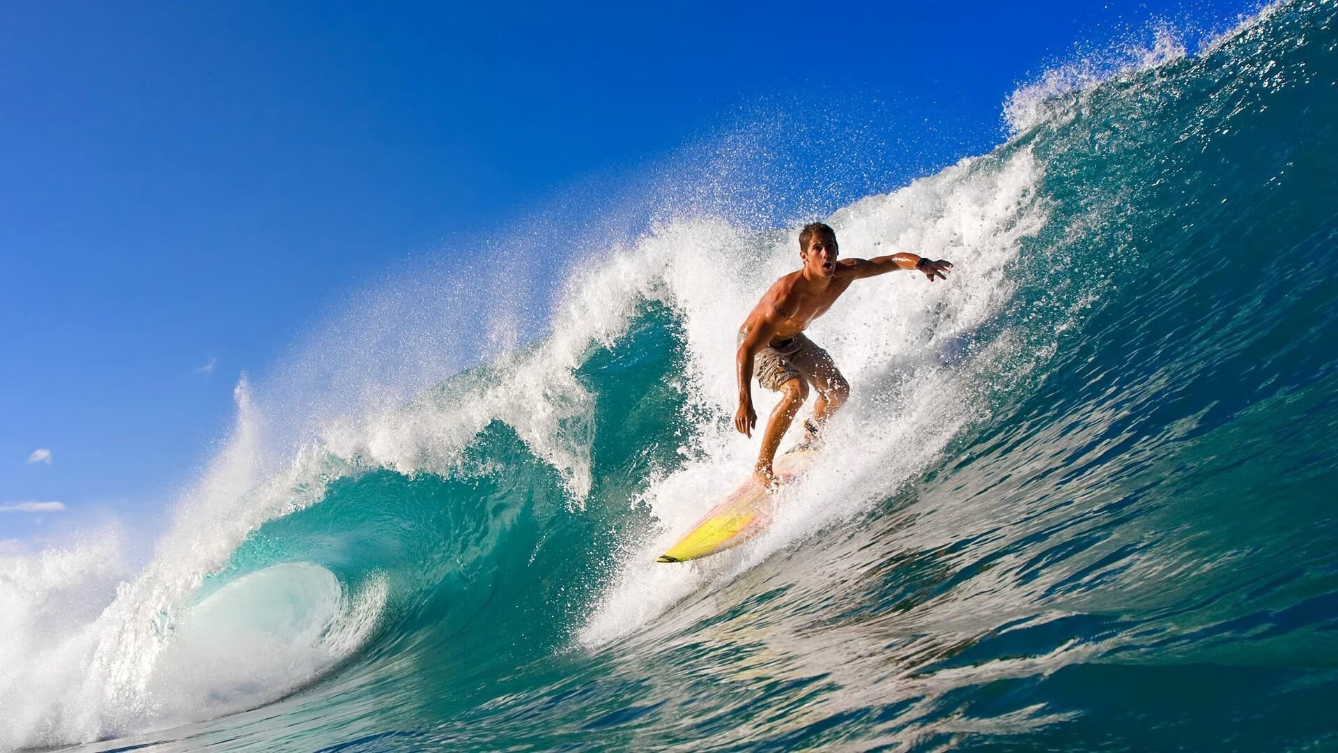 球迷文化：从传统到数字的完美融合，球迷语言